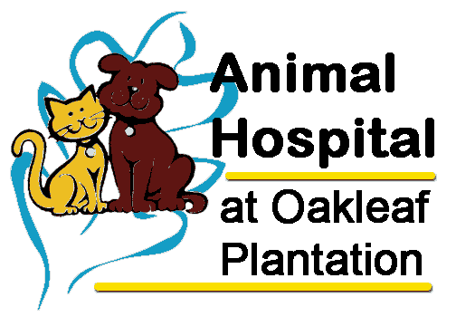 Animal Hospital at Oakleaf Plantation - Veterinarian in Jacksonville, FL US